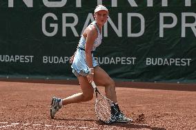 International Tennis match - WTA Hungarian Grand Prix - Quarter finals