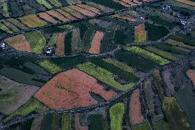 Colorful Terraced Fields in Xinjiang