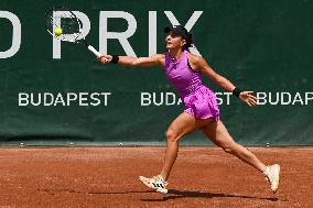International Tennis match - WTA Hungarian Grand Prix - Quarter finals