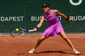 International Tennis match - WTA Hungarian Grand Prix - Quarter finals