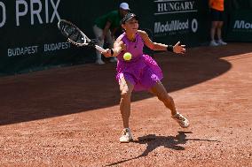 International Tennis match - WTA Hungarian Grand Prix - Quarter finals