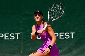 International Tennis match - WTA Hungarian Grand Prix - Quarter finals