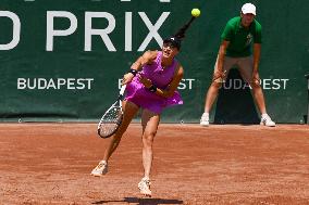 International Tennis match - WTA Hungarian Grand Prix - Quarter finals