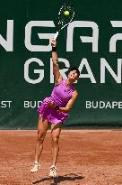 International Tennis match - WTA Hungarian Grand Prix - Quarter finals