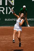 International Tennis match - WTA Hungarian Grand Prix - Quarter finals