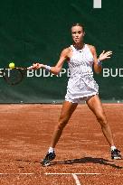 International Tennis match - WTA Hungarian Grand Prix - Quarter finals