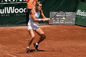 International Tennis match - WTA Hungarian Grand Prix - Quarter finals