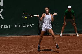 International Tennis match - WTA Hungarian Grand Prix - Quarter finals