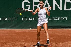 International Tennis match - WTA Hungarian Grand Prix - Quarter finals