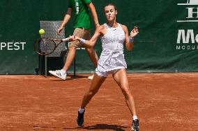 International Tennis match - WTA Hungarian Grand Prix - Quarter finals