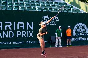 International Tennis match - WTA Hungarian Grand Prix - Round of 16 and Quarter finals