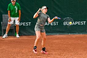 International Tennis match - WTA Hungarian Grand Prix - Round of 16 and Quarter finals