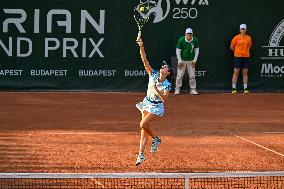 International Tennis match - WTA Hungarian Grand Prix - Round of 16 and Quarter finals