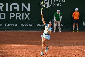 International Tennis match - WTA Hungarian Grand Prix - Round of 16 and Quarter finals