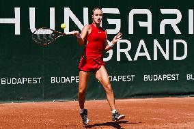 International Tennis match - WTA Hungarian Grand Prix - Quarter finals