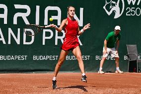 International Tennis match - WTA Hungarian Grand Prix - Quarter finals