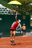 International Tennis match - WTA Hungarian Grand Prix - Quarter finals