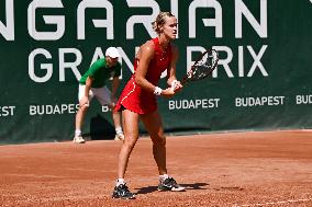 International Tennis match - WTA Hungarian Grand Prix - Quarter finals