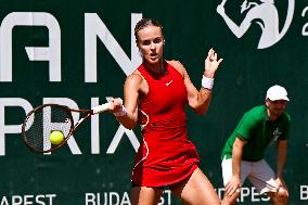 International Tennis match - WTA Hungarian Grand Prix - Quarter finals