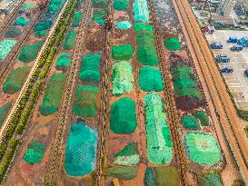 Containers Piled Up At Beilun Port in Ningbo