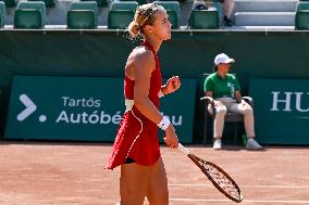 International Tennis match - WTA Hungarian Grand Prix - Quarter finals