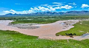 The Tibetan Plateau Winding Rivers