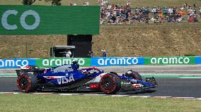 Formula 1 Championship - Formula 1 Hungarian Grand Prix 2024 - Practice 1 and Practice 2