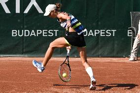 International Tennis match - WTA Hungarian Grand Prix - Quarter finals