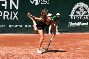 International Tennis match - WTA Hungarian Grand Prix - Quarter finals