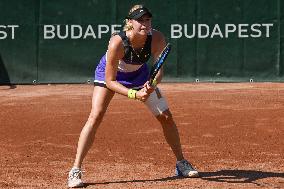 International Tennis match - WTA Hungarian Grand Prix - Quarter finals