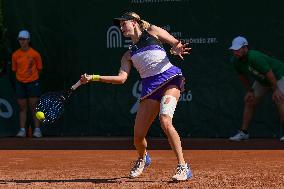 International Tennis match - WTA Hungarian Grand Prix - Quarter finals