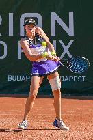 International Tennis match - WTA Hungarian Grand Prix - Quarter finals