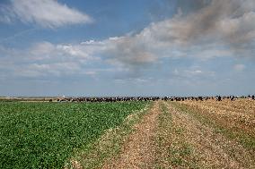 Rally against the construction of mega bassine - Migne Auxances