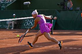 International Tennis match - WTA Hungarian Grand Prix - Quarter finals