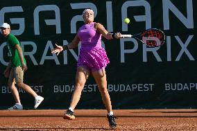 International Tennis match - WTA Hungarian Grand Prix - Quarter finals