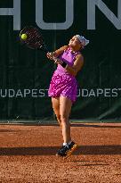 International Tennis match - WTA Hungarian Grand Prix - Quarter finals