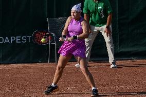 International Tennis match - WTA Hungarian Grand Prix - Quarter finals