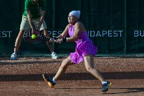 International Tennis match - WTA Hungarian Grand Prix - Quarter finals