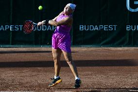 International Tennis match - WTA Hungarian Grand Prix - Quarter finals