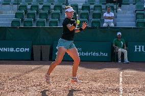 International Tennis match - WTA Hungarian Grand Prix - Quarter finals