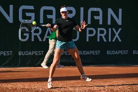 International Tennis match - WTA Hungarian Grand Prix - Quarter finals