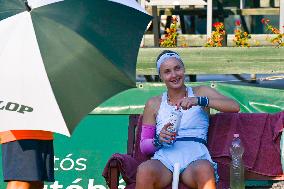 International Tennis match - WTA Hungarian Grand Prix - Quarter finals