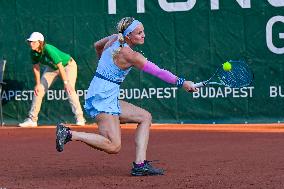 International Tennis match - WTA Hungarian Grand Prix - Quarter finals