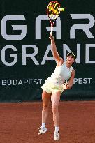 International Tennis match - WTA Hungarian Grand Prix - Quarter finals