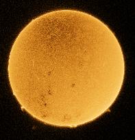 The Sun In H-Alpha