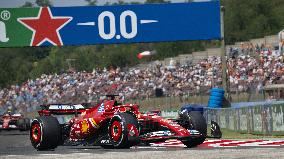 F1 Hungarian Grand Prix - Budapest