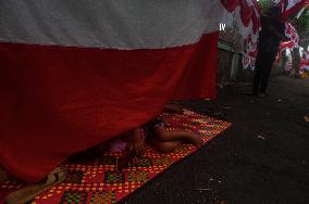 Red White Indonesia's Flag