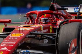 F1 Grand Prix of Hungary - Practice