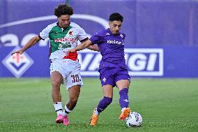 Friendly football match - ACF Fiorentina vs AC Reggiana