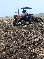 SUDAN-GEDAREF STATE-AGRICULTURAL SEASON